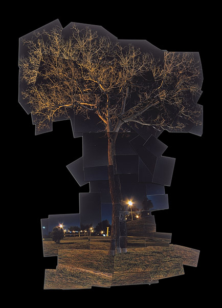 κολλάζ φωτογραφιών που σχηματίζουν ενα δέντρο