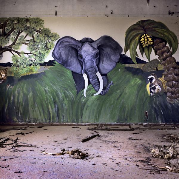 γκράφιτι ελέφαντα, έδαφος