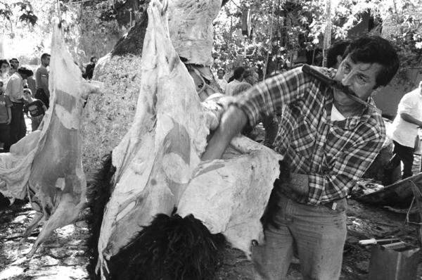 άντρας βγάζει το δέρμα από σκοτωμένο ταύρο