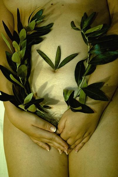 Φωτογραφία - Κοσμάς Εμμόγλου, φωτογραφία, σκέπασμα από φύλλα ελιάς