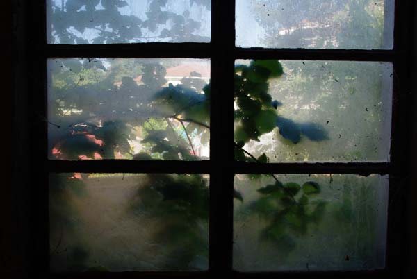τα πράσινα φύλλα ενός δένδρου φαίνονται μέσα απο ένα θολό παράθυρο