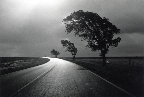 ασπρόμαυρη φωτογραφία, δρόμος, στροφή, τρία δέντρα