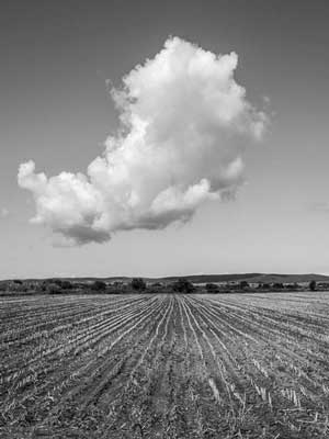 μαυρόασπρη φωτογραφία, λιβάδι, σύννεφο