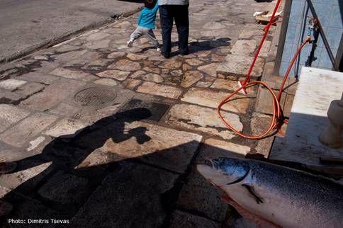 Σκιά φωτογράφου τη στιγμή που απαθανατίζει ένα μεγάλο ψάρι που κείτεται σε πεζοδρόμιο