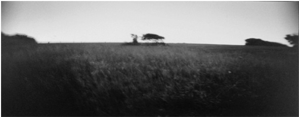 ασπρόμαυρη φωτογραφία στο κέντρο διακρίνεται στο βάθος ένα δέντρο σε ένα χωράφι