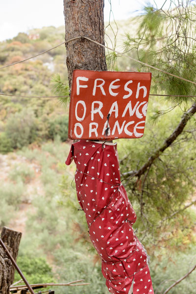 πινακίδα σε δέντρο "fresh orance orance"