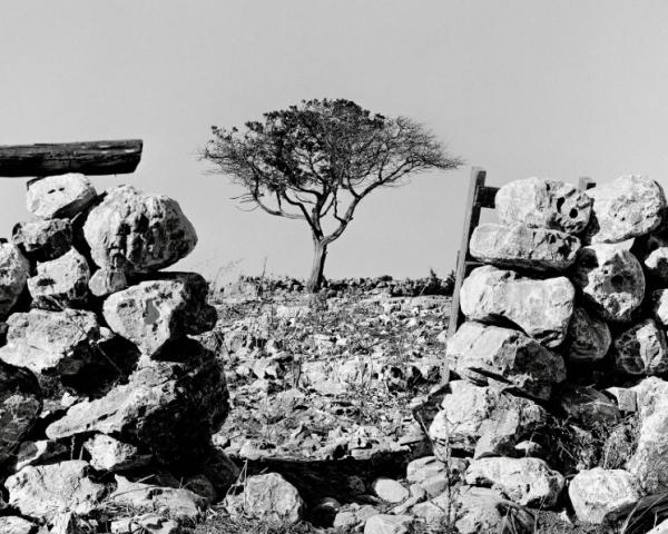 ©michalis boskos