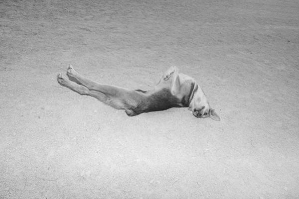 flyer εκδήλωσης