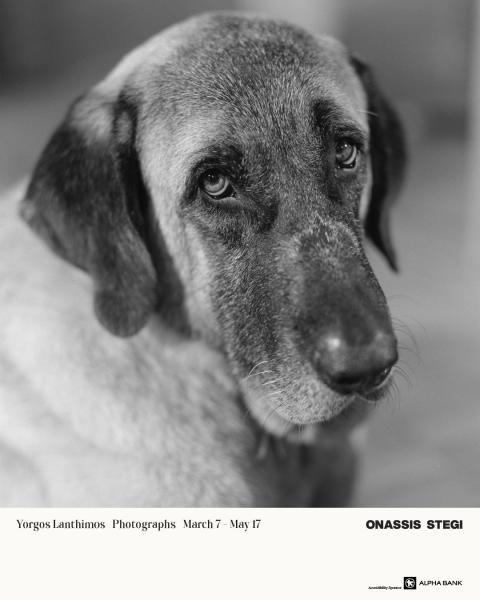 flyer εκδήλωσης