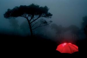 κόκκινη ομπρέλα, τοπίο με ομίχλη, δέντρα