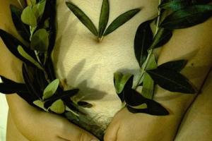 Φωτογραφία - Κοσμάς Εμμόγλου, φωτογραφία, σκέπασμα από φύλλα ελιάς