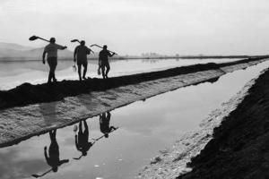 μαυρόασπρη φωτογραφία, εργάτες στη λιμνοθάλασσα Μεσολογγίου