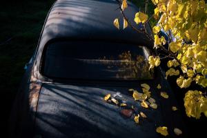 παλιό μαύρο αυτοκίνητο καλλυμένο με κίτρινα φθινοπωρινά φύλλα
