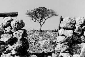 ©michalis boskos